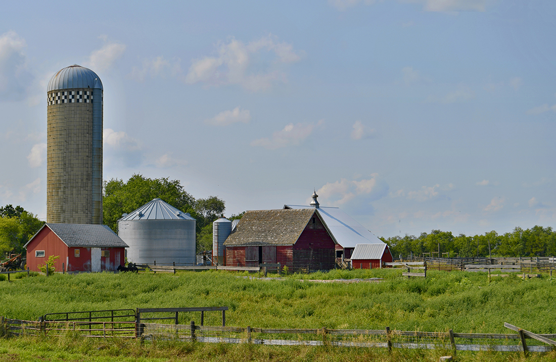 Read more about the article Why Farm Insurance is Essential in Modern Farming